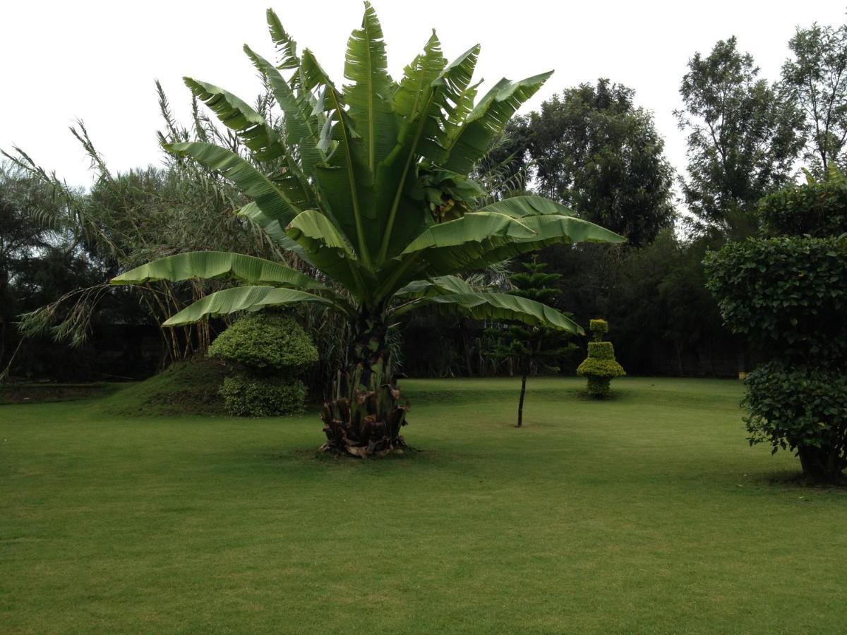 Homebase gardens Nakuru Eksteriør bilde